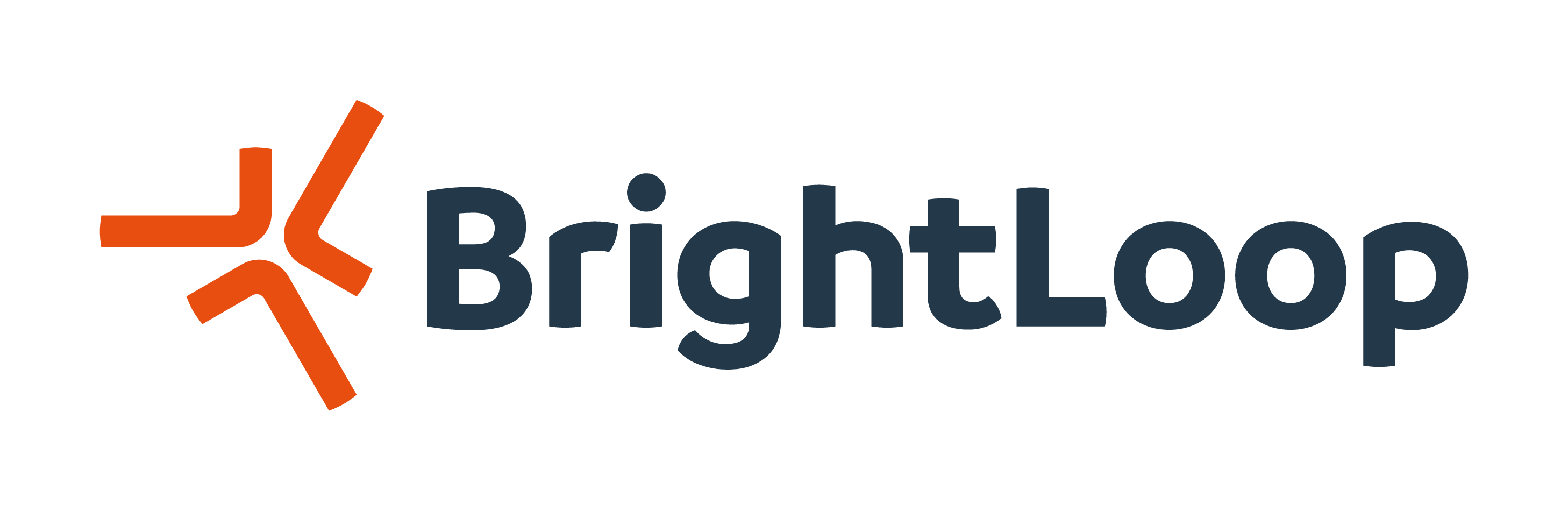 BRI_logo_BrightLoop_2024_RVB_7-1